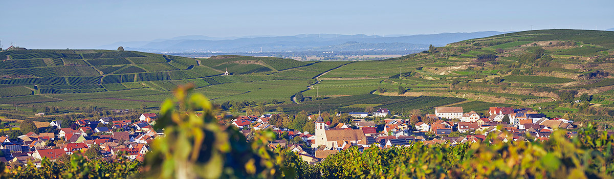 Lagen & Struktur